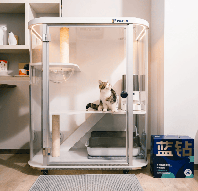 推出全新携宠住宿方案圈粉养宠人群麻将胡了网址宠物经济崛起亚朵酒店(图2)