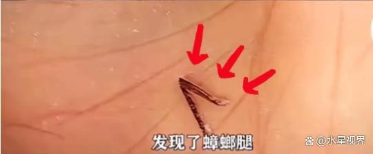 现了比想象中的更加恶心难怪女性会得妇科病PG麻将胡了网站入口315晚会大爆雷出(图11)