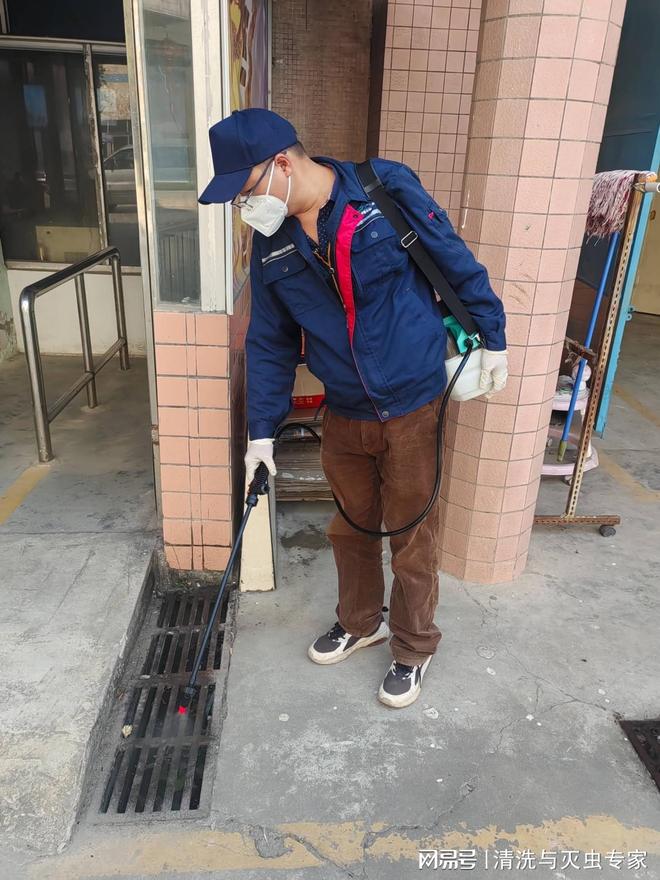 口东莞上门灭鼠多少钱PG麻将胡了网站入(图2)